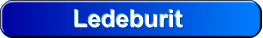 Was ist Ledeburit?